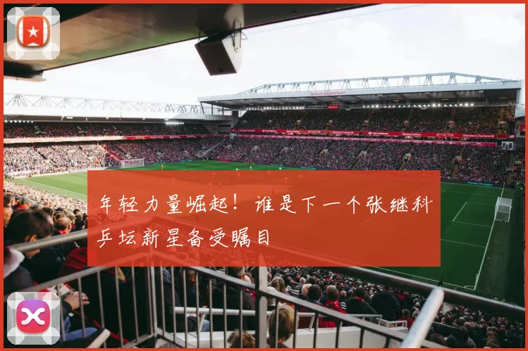 年轻力量崛起！谁是下一个张继科乒坛新星备受瞩目